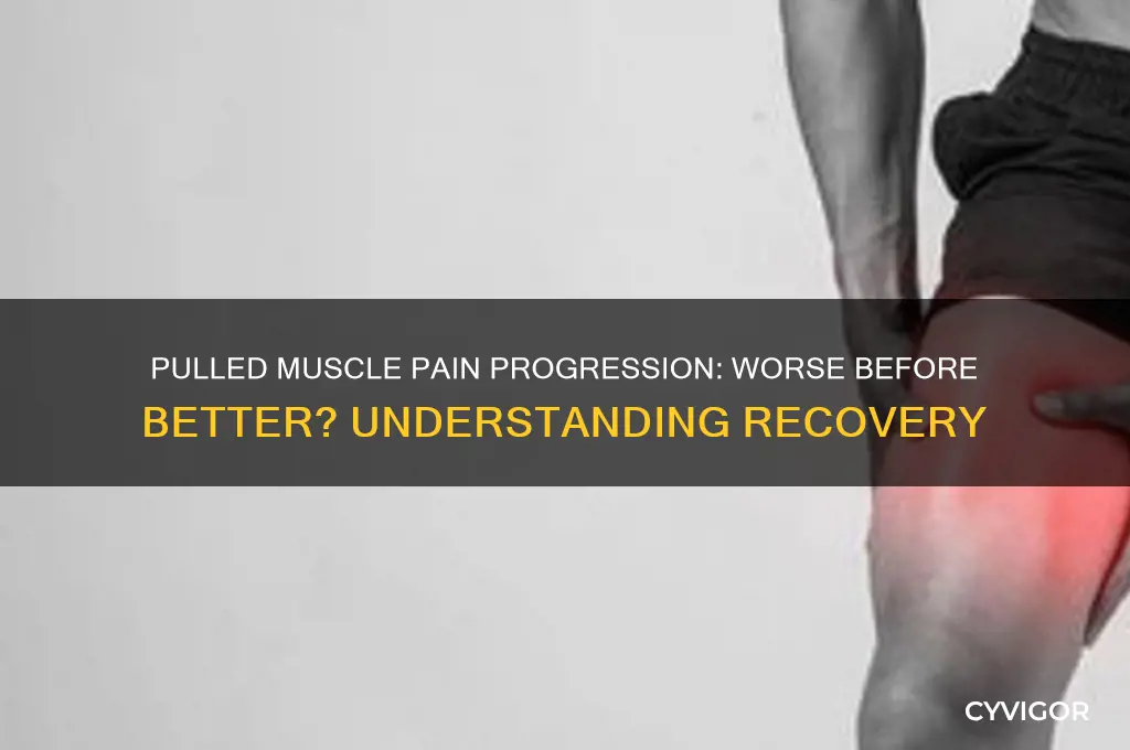 does a pulled muscle feel worse before it gets better