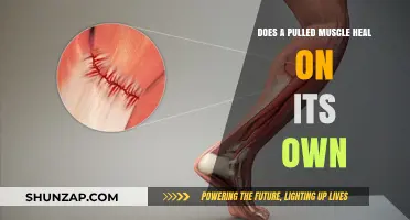 Pulled Muscle Recovery: Can It Heal Without Medical Intervention?