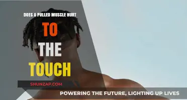 Pulled Muscle Pain: Does It Hurt to Touch the Injured Area?