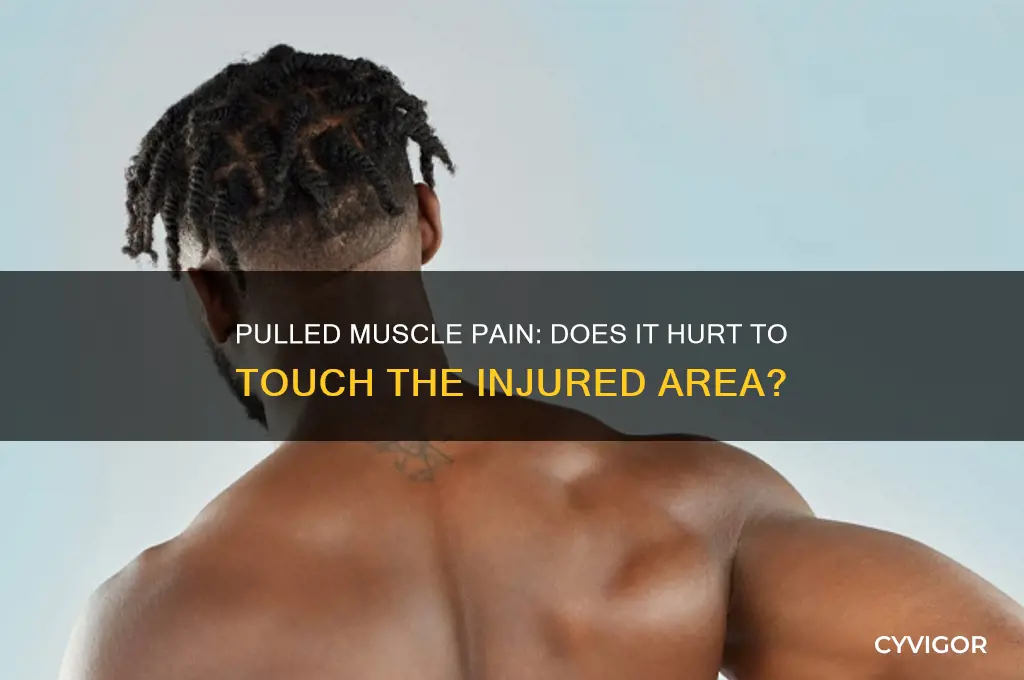 does a pulled muscle hurt to the touch