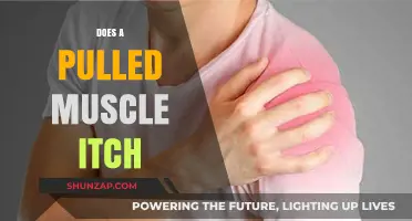 Pulled Muscle Itching: Causes, Symptoms, and Effective Relief Strategies