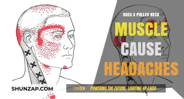 How Neck Muscle Strain Triggers Headaches