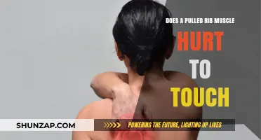 Pulled Rib Muscle Pain: Does It Hurt to Touch?