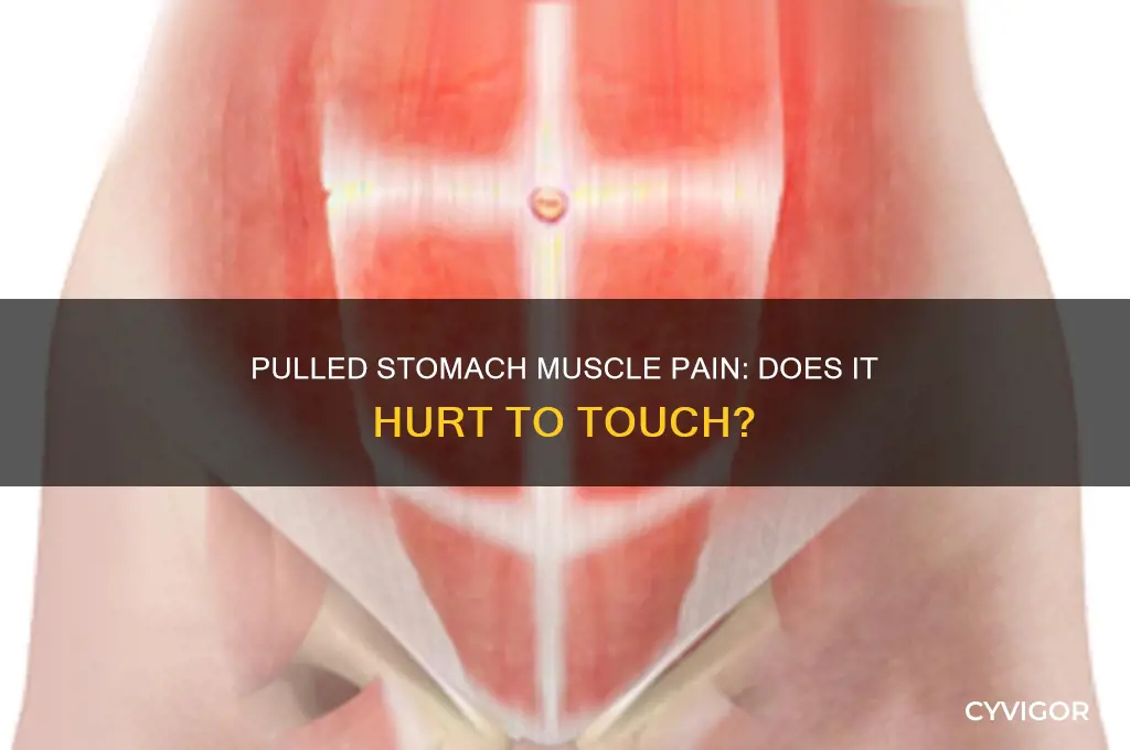does a pulled stomach muscle hurt to touch