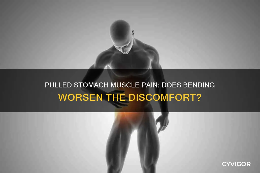does a pulled stomach muscle hurt when you bend