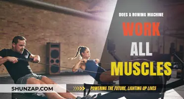 Rowing Machine Benefits: Full-Body Workout or Targeted Muscle Training?