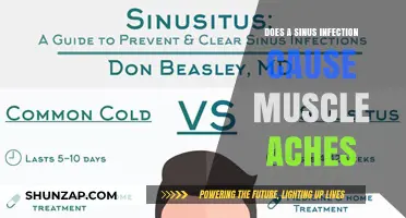 Sinus Infection and Muscle Aches: What's the Link?