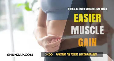 Slower Metabolism and Muscle Gain: Fact or Fiction?