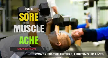 Understanding Muscle Soreness: Why Do Sore Muscles Ache After Exercise?