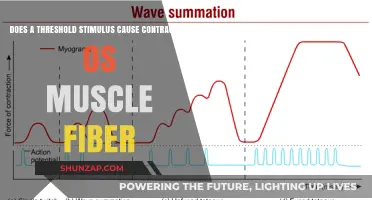 Stimulus-Induced Muscle Contraction: What's the Threshold?