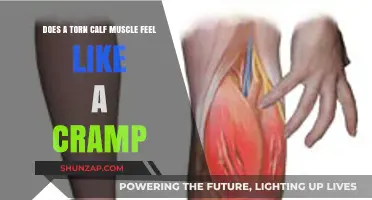 Understanding the Pain: Torn Calf Muscle vs. Cramp