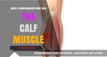 Understanding Meniscus Tears: Does the Pain Extend to the Calf Muscle?