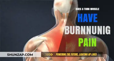 Torn Muscle Burning Pain: Causes, Symptoms, and Effective Relief Strategies