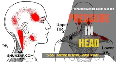 Trapezious Muscle: Head Pain and Pressure Culprit?