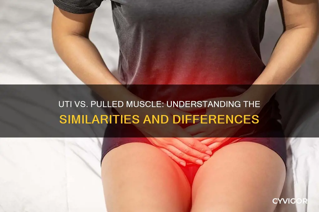 does a uti feel like a pulled muscle