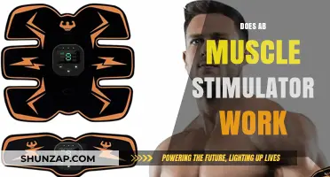 Do Ab Muscle Stimulators Deliver Results? Separating Fact from Fiction
