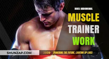 Abdominal Muscle Trainers: Effective Workout Tool or Just a Fad?
