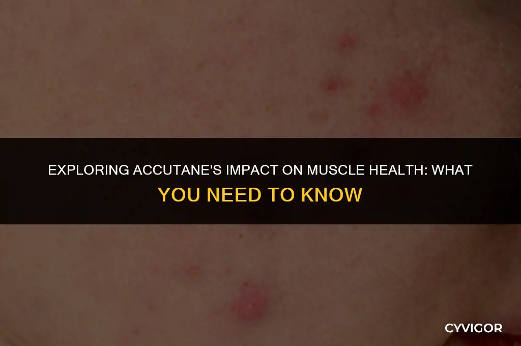 does accutane affect muscles
