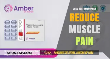 Acetaminophen for Muscle Pain: Effective Relief or Just a Myth?