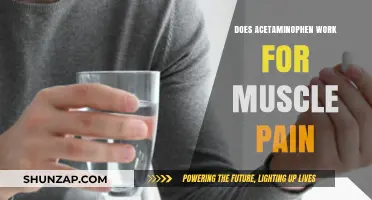 Acetaminophen for Muscle Pain: Effective Relief or Just a Myth?
