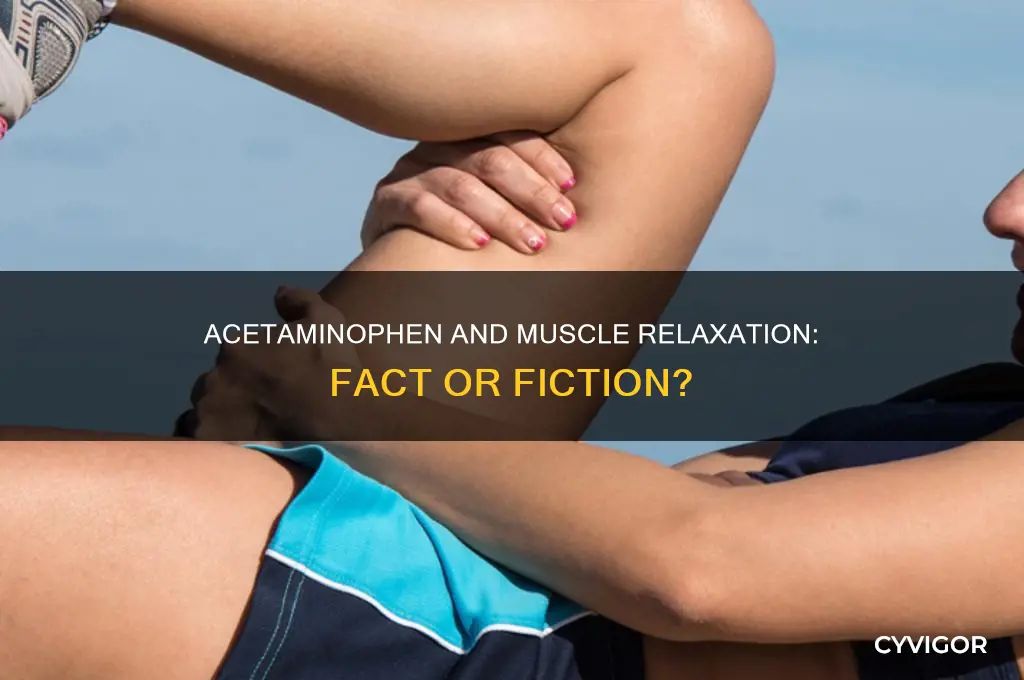 does acetominithin relax your muscles