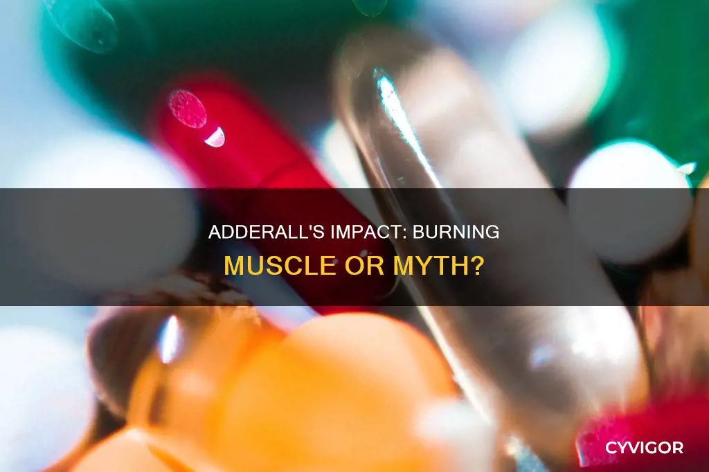 does adderall burn muscle