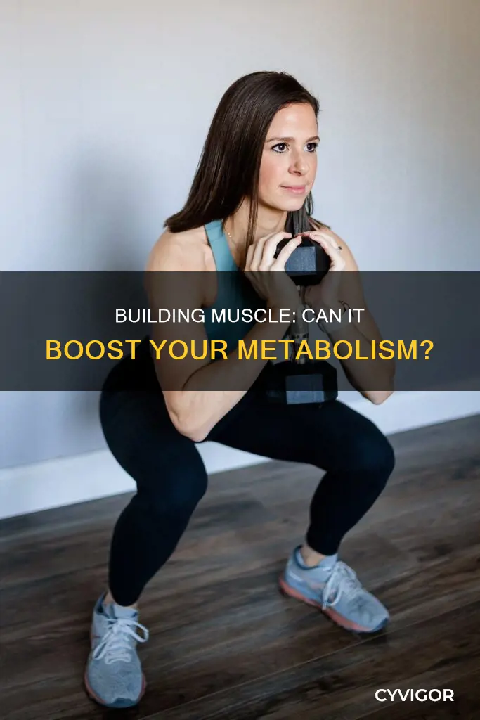 does adding muscle increase metabolism