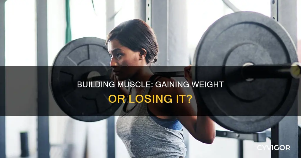 does adding muscle increase weight