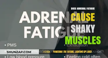 Adrenal Fatigue and Shaky Muscles: Is There a Link?