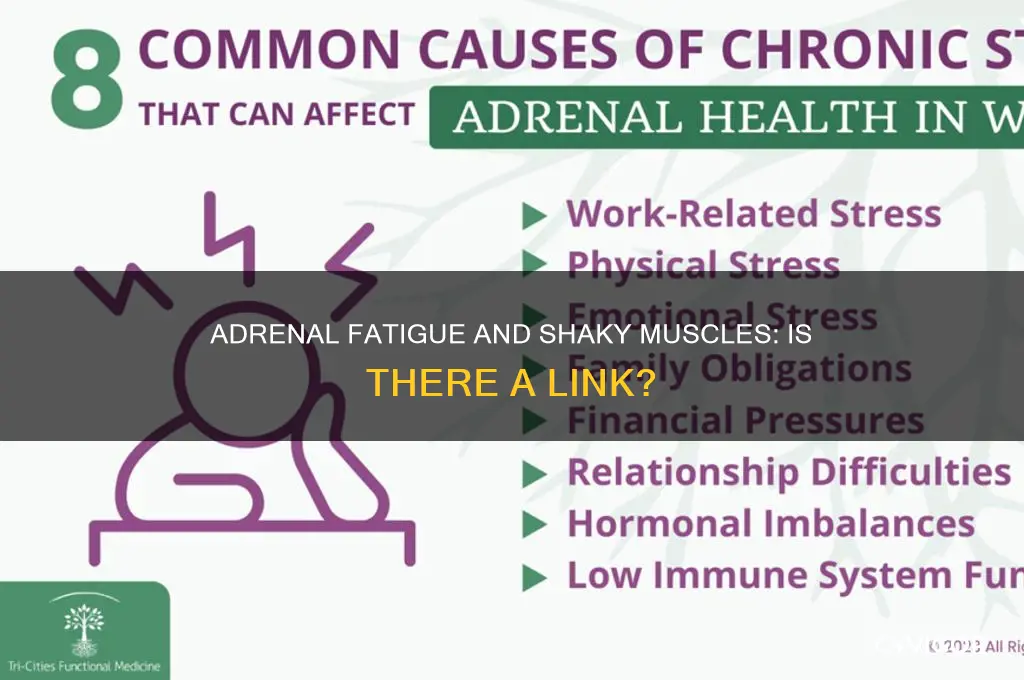 does adrenal fatigue cause shaky muscles