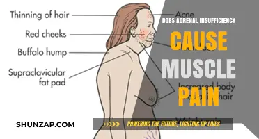 Adrenal Insufficiency and Muscle Pain: What's the Link?
