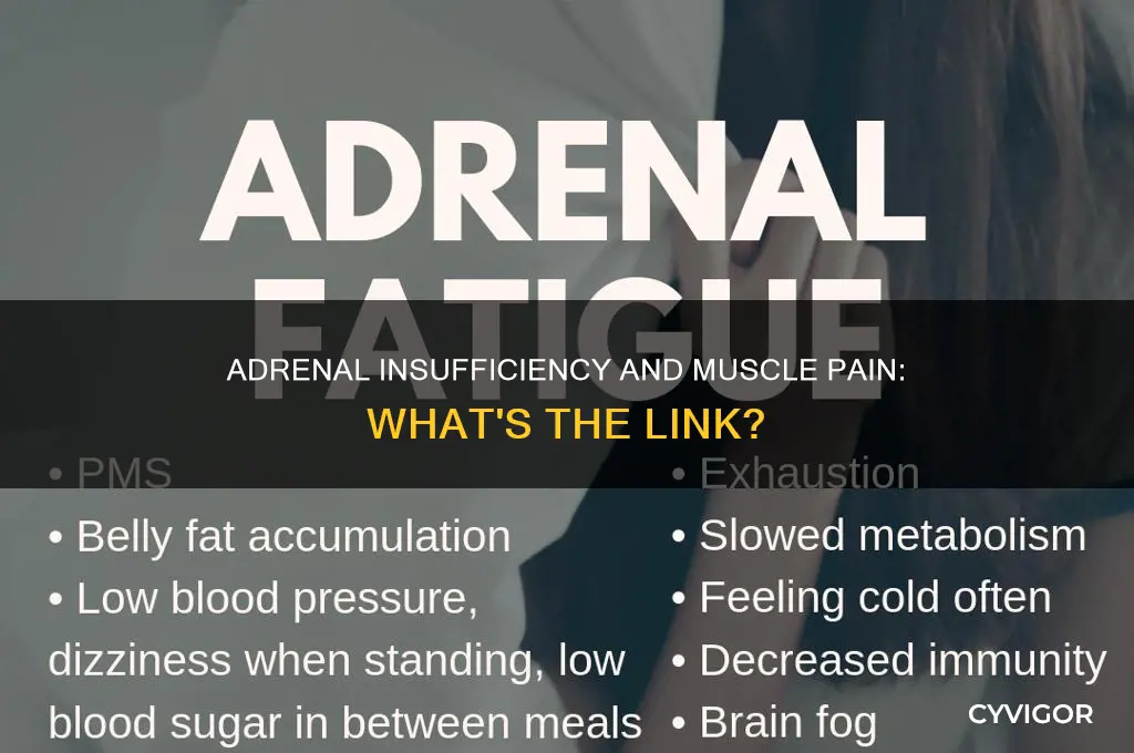 does adrenal insufficiency cause muscle pain