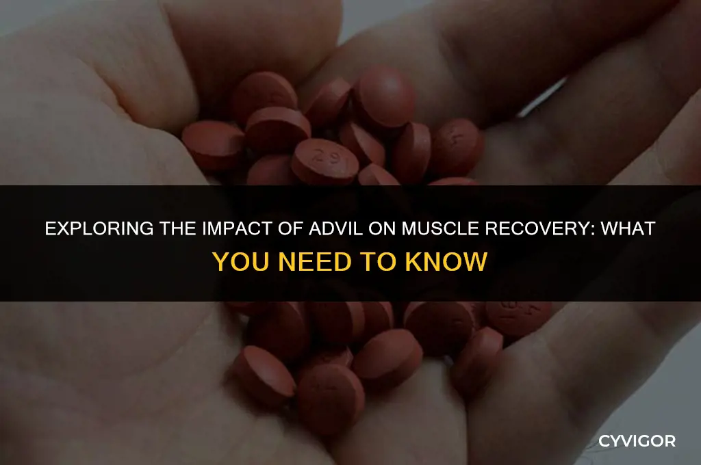 does advil affect muscle recovery