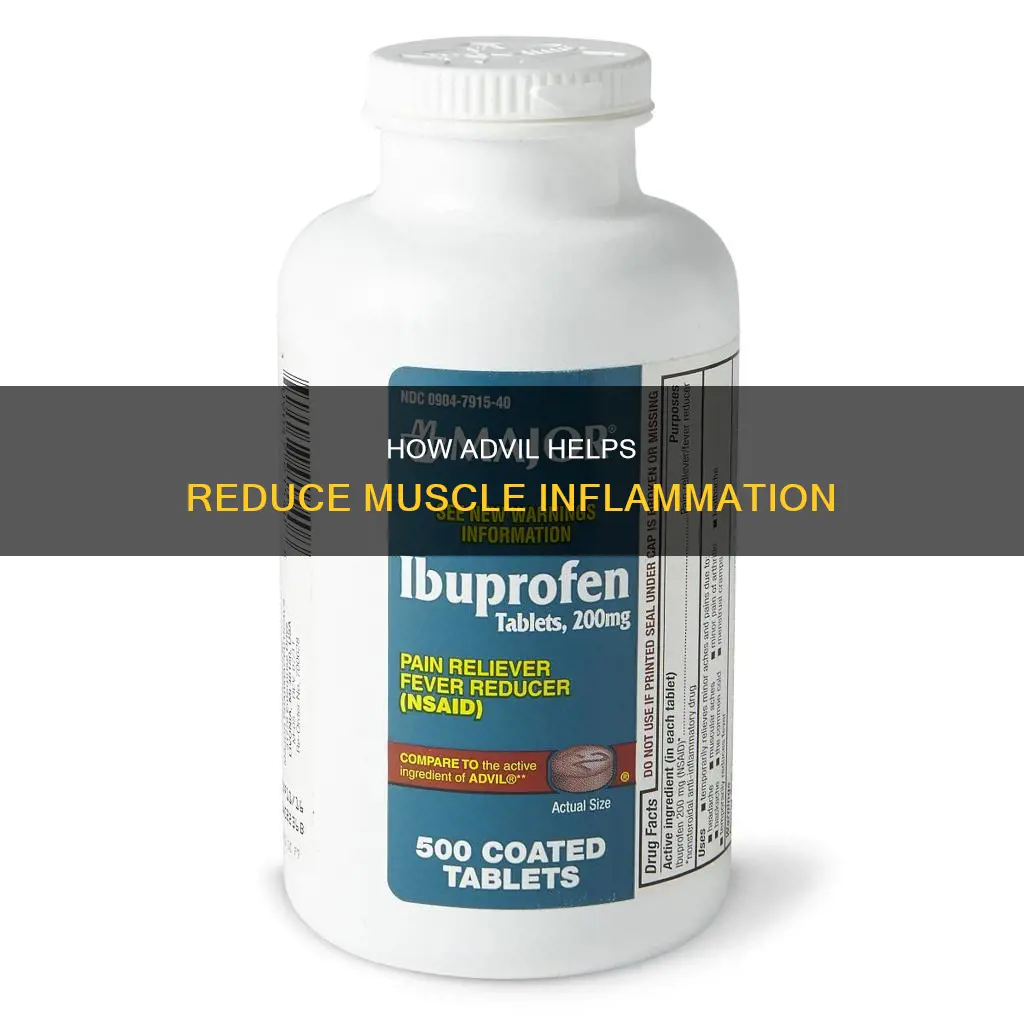 does advil reduce muscle inflammation