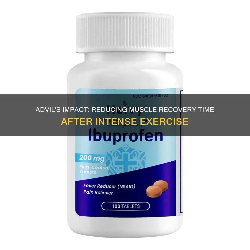 does advil reduce muscle recovery