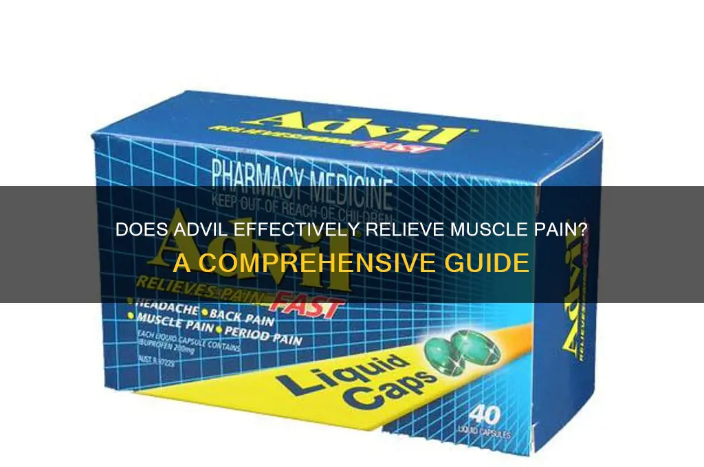 does advil work for muscle pain