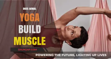 Elevate Your Fitness: The Muscle-Building Benefits of Aerial Yoga