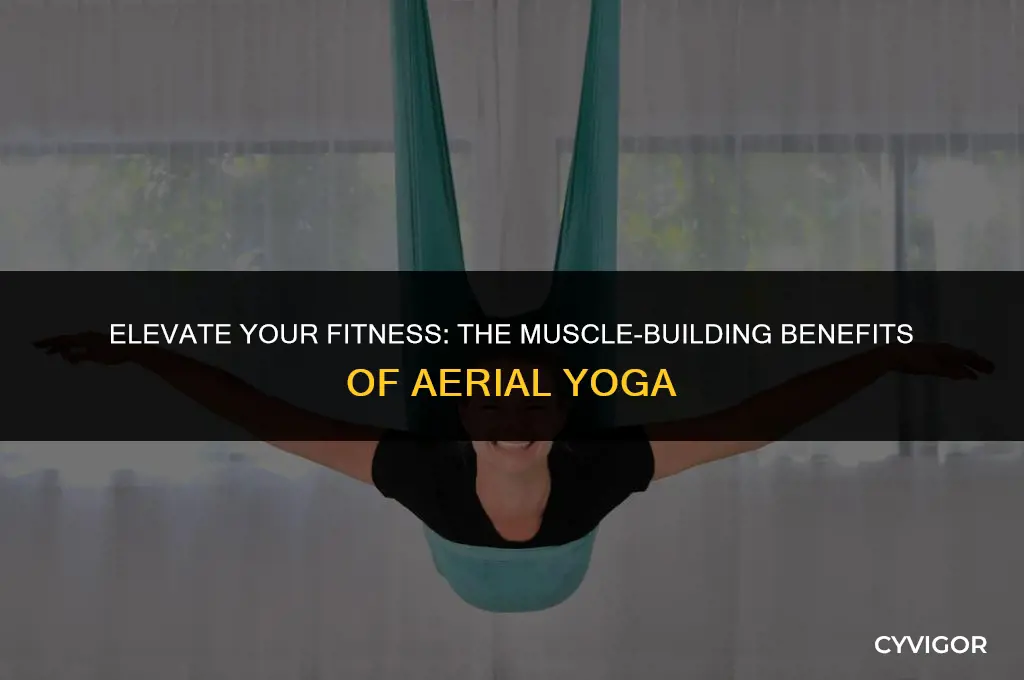 does aerial yoga build muscle