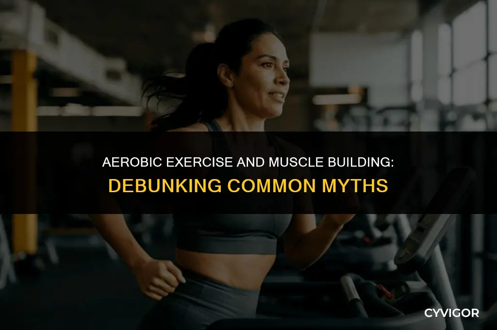 does aerobic exercise build muscle