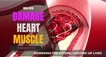 Afib's Impact: Heart Muscle Damage and Recovery