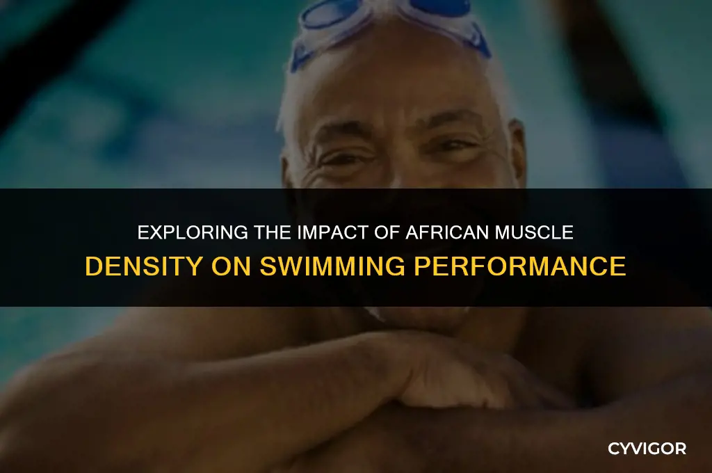 does african muscle density affect swimming