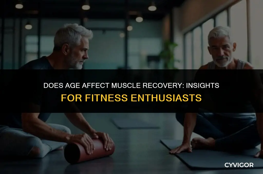 does age affect muscle recovery