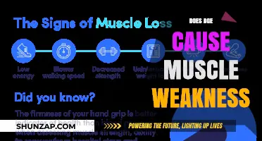 Aging and Muscle Weakness: What's the Connection?