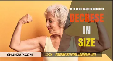 Aging and Muscle Loss: What's the Connection?
