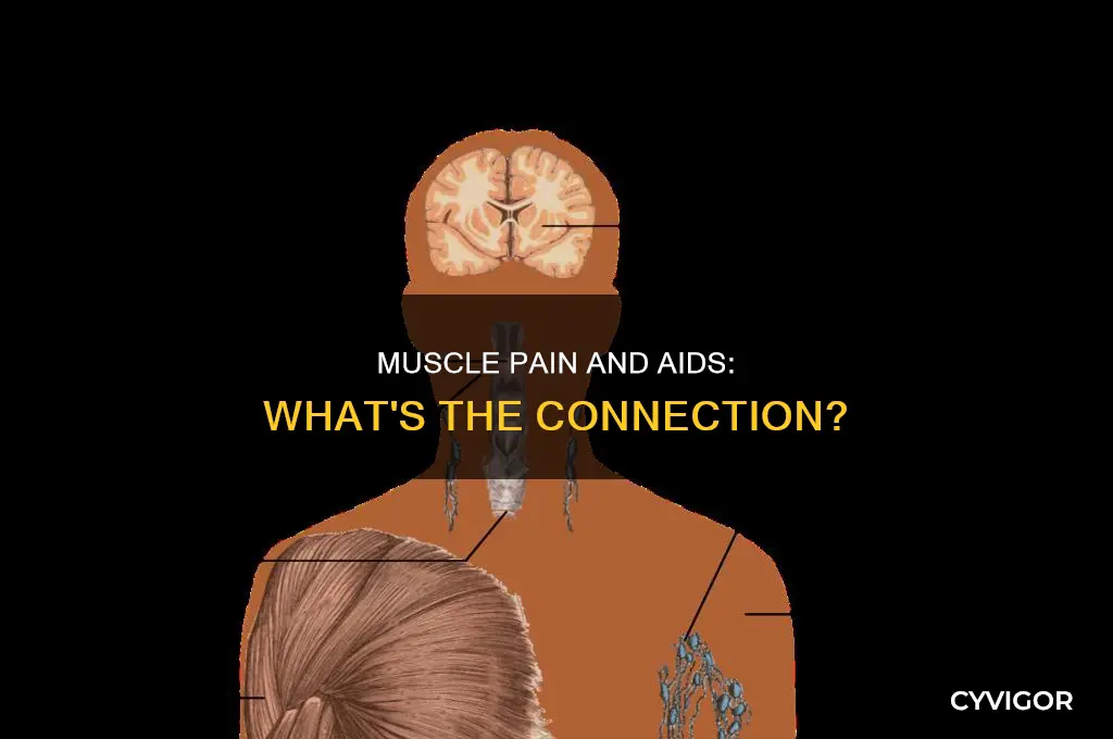 does aids cause muscle pain