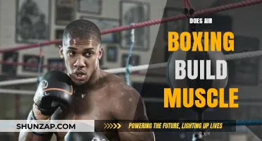 Punching Towards Fitness: The Muscle-Building Benefits of Air Boxing