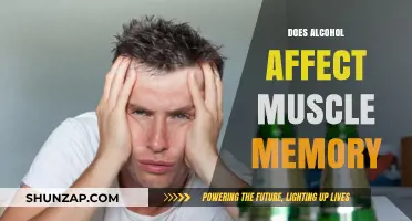 Exploring the Impact of Alcohol on Muscle Memory: A Comprehensive Guide
