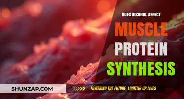 Unraveling the Impact of Alcohol on Muscle Protein Synthesis