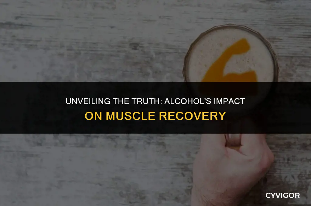 does alcohol affect muscle recovery