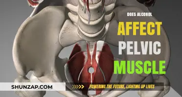 Exploring the Impact of Alcohol on Pelvic Muscle Health